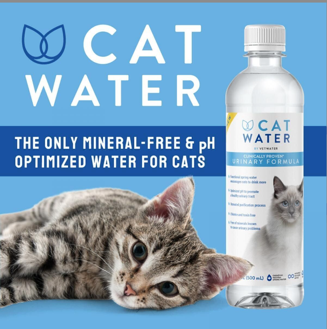 VETWATER-貓用 防尿石饮用水500ML*24 主圖