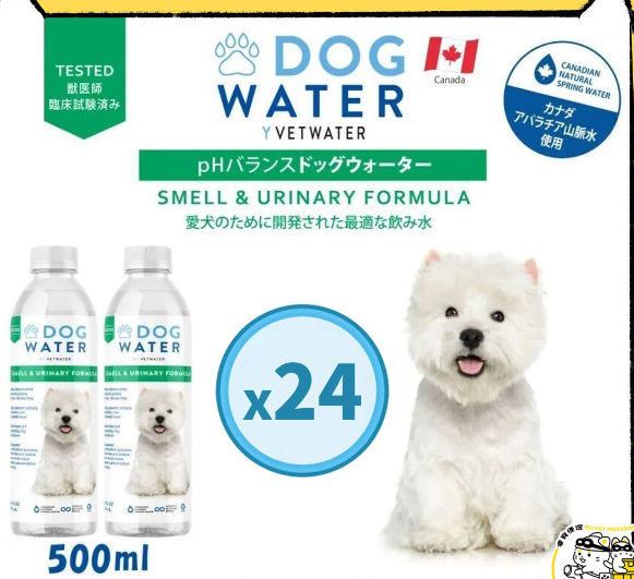 VETWATER-狗用 天防尿石饮用水500ml*24 主圖