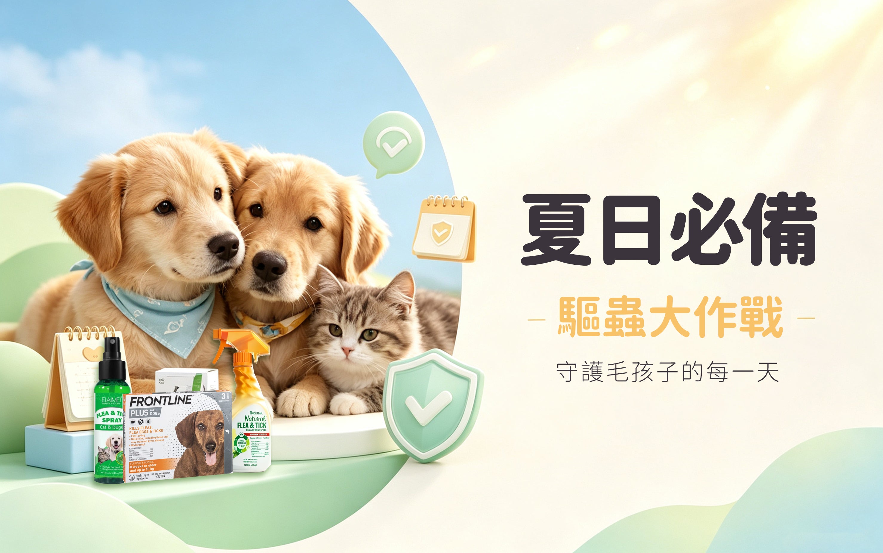 夏日必備