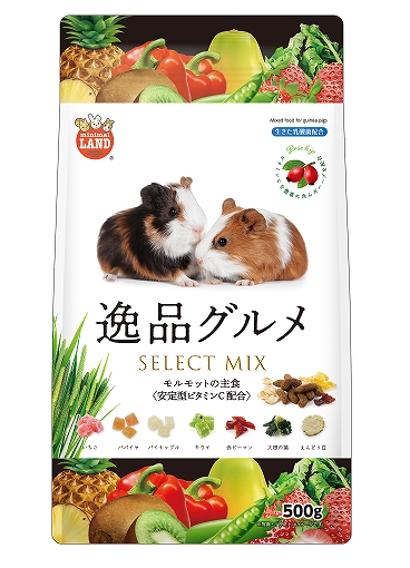 Marukan-天竺鼠混合主糧 500g 主圖